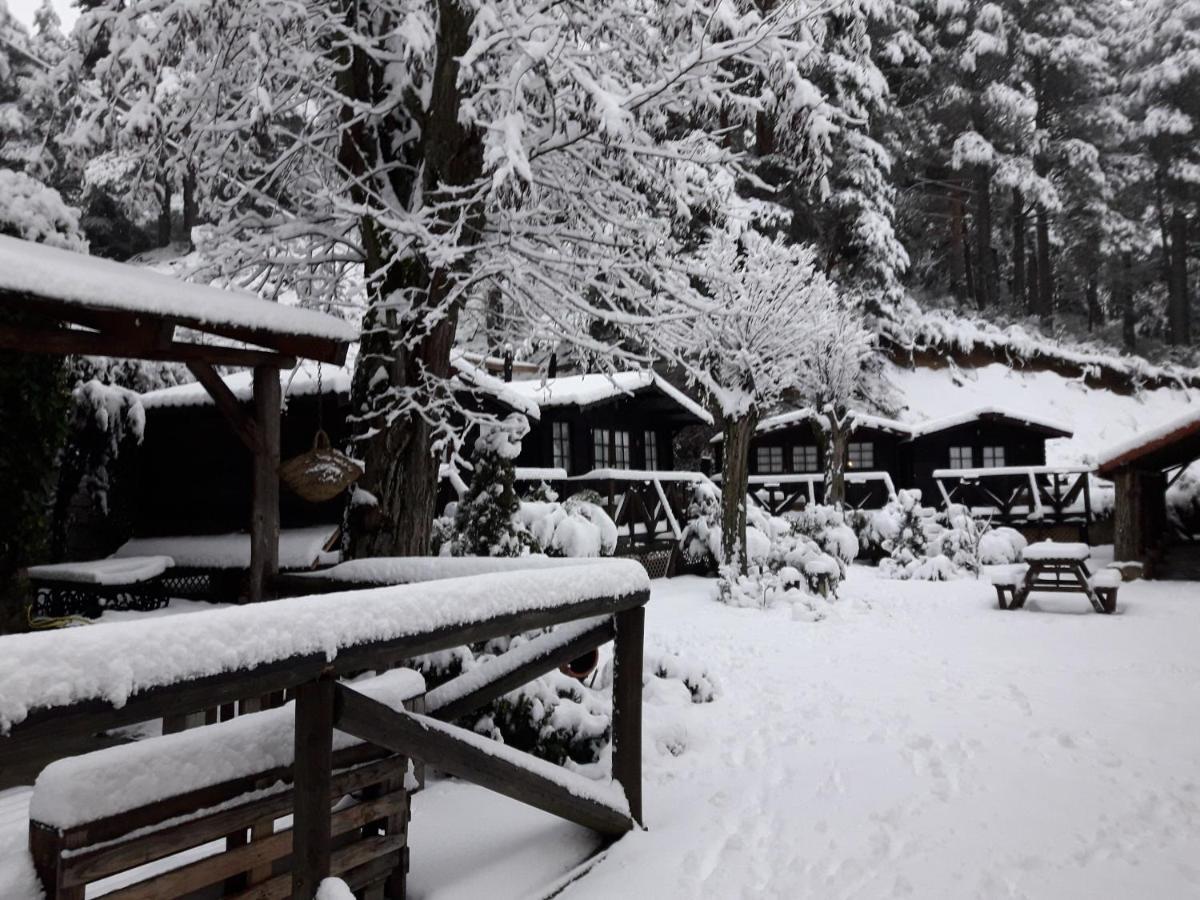 La Posada 세르세디야 외부 사진
