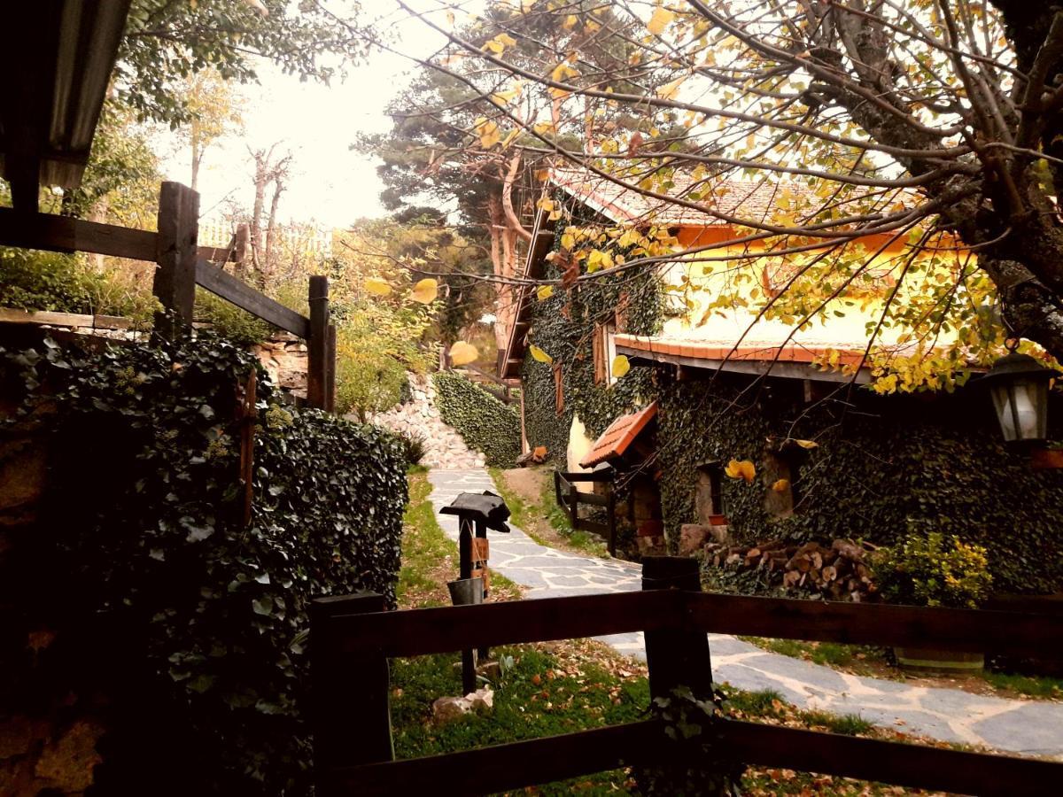 La Posada 세르세디야 외부 사진